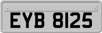 EYB8125