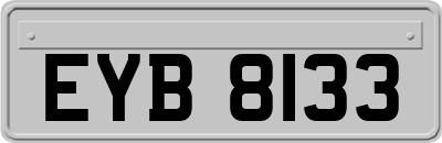 EYB8133