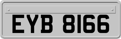 EYB8166