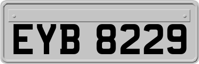 EYB8229