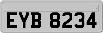 EYB8234