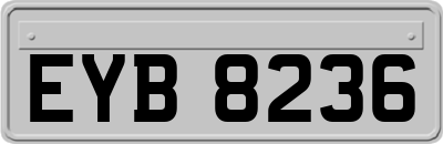 EYB8236