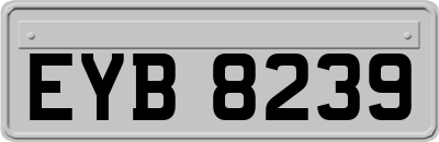 EYB8239