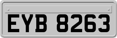 EYB8263