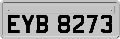EYB8273