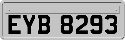 EYB8293