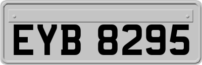 EYB8295