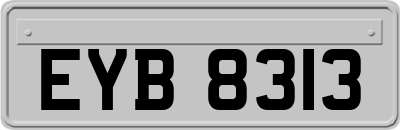 EYB8313