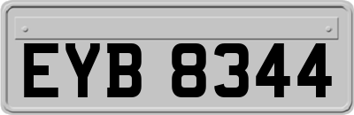 EYB8344