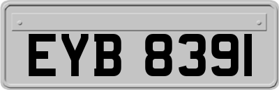 EYB8391