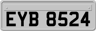 EYB8524