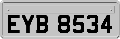 EYB8534