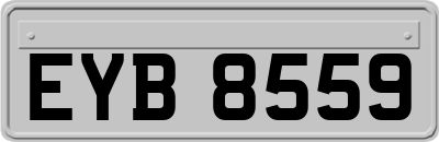 EYB8559