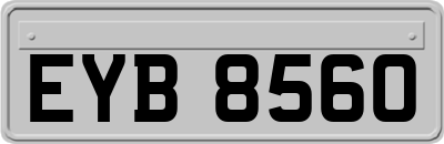 EYB8560