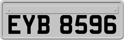 EYB8596