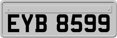 EYB8599
