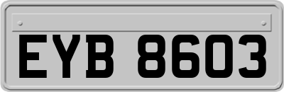 EYB8603