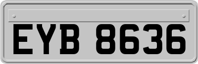 EYB8636