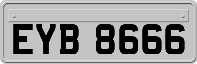 EYB8666