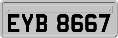 EYB8667