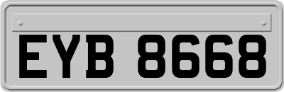 EYB8668
