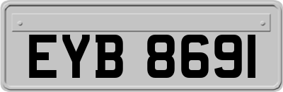 EYB8691