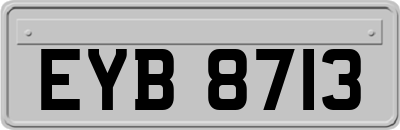 EYB8713