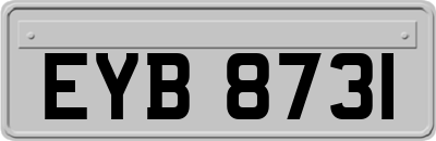 EYB8731