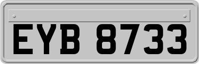 EYB8733
