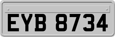 EYB8734