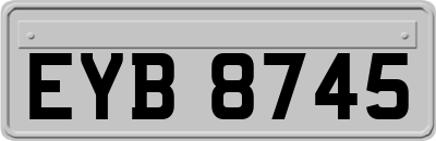 EYB8745