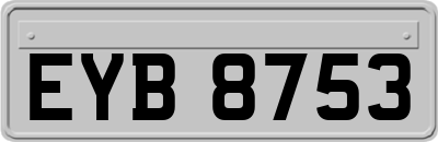 EYB8753