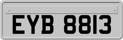 EYB8813