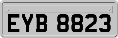 EYB8823
