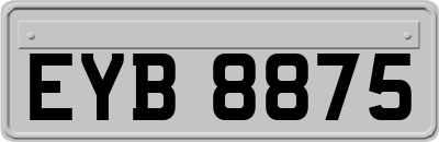 EYB8875