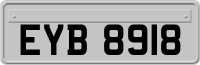 EYB8918