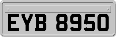 EYB8950