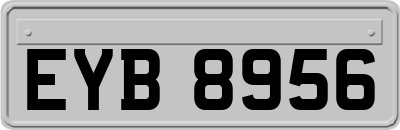 EYB8956