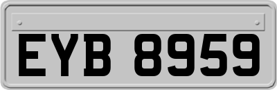 EYB8959