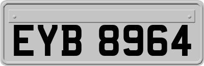 EYB8964
