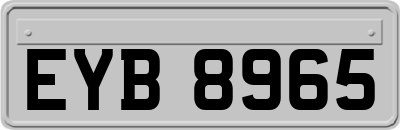 EYB8965