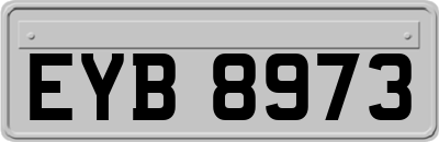 EYB8973