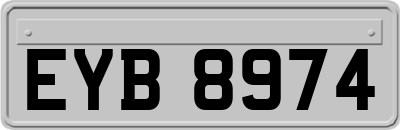 EYB8974