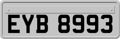 EYB8993