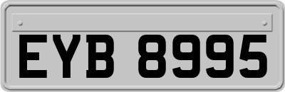 EYB8995