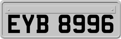 EYB8996