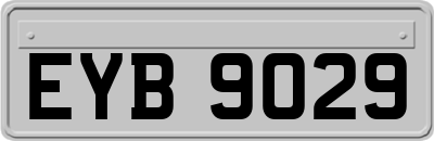 EYB9029