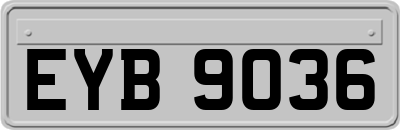 EYB9036