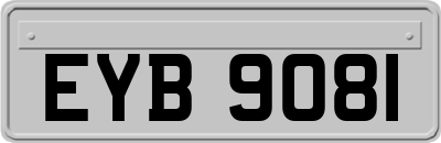 EYB9081