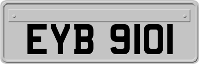 EYB9101
